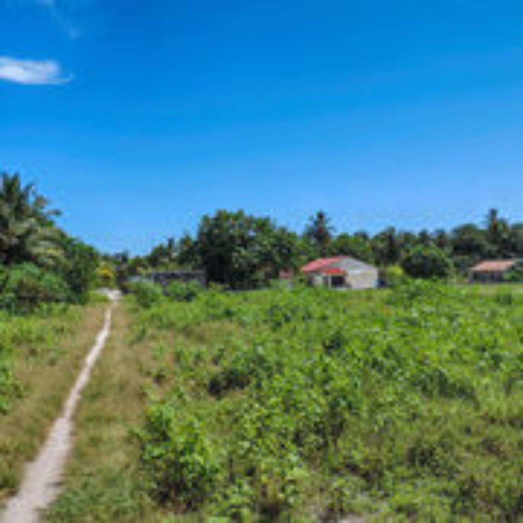 Feridhoo Inn Екстериор снимка