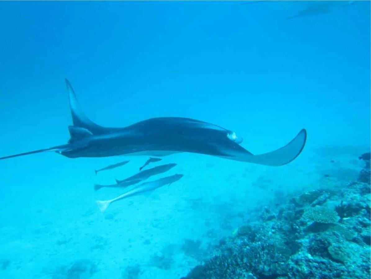 Feridhoo Inn Екстериор снимка